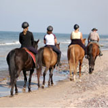 Reiten